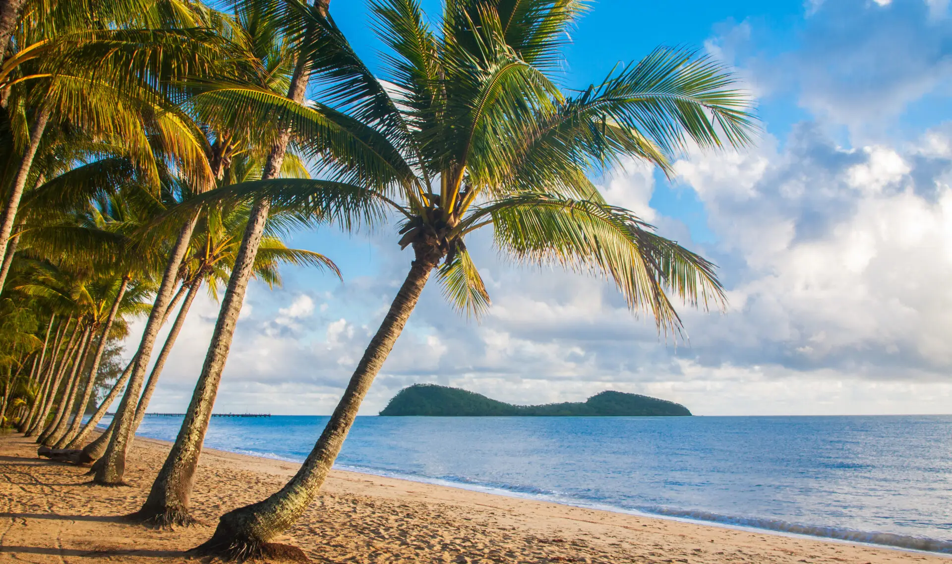 Cairns, Palm Cove, QLD, Australia