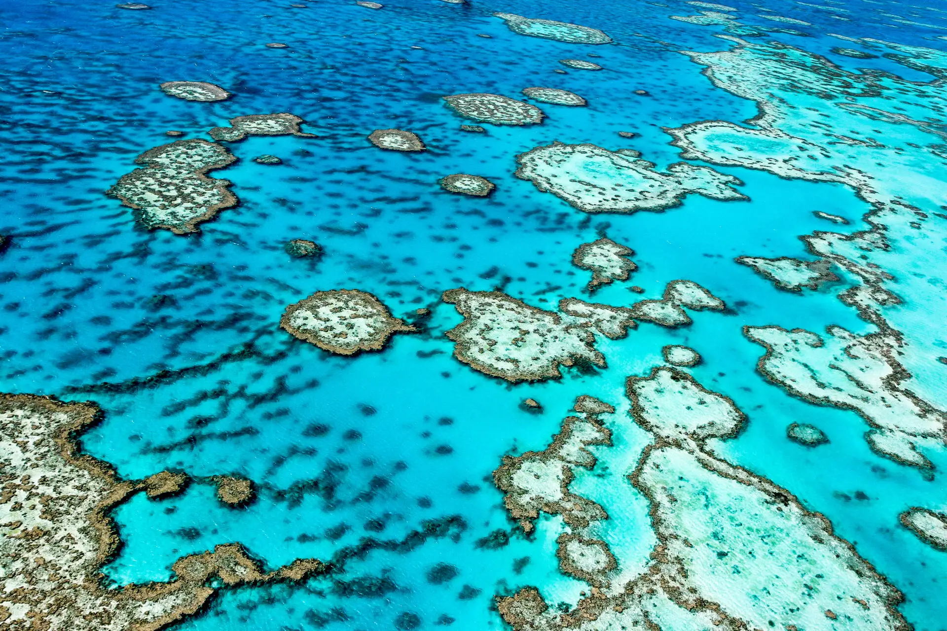 Great Barrier Reef, QLD, Australia