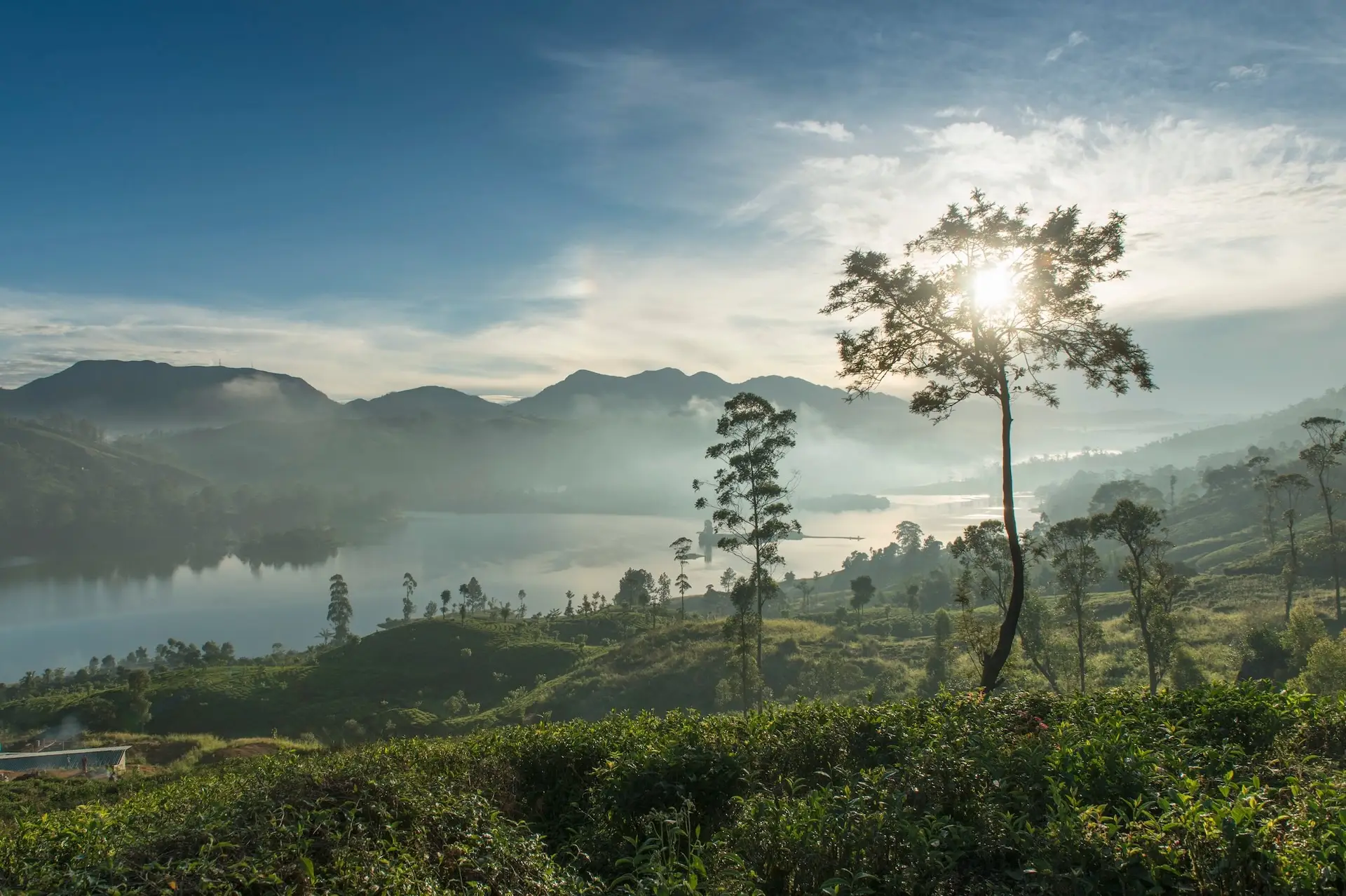 Ceylon Tea Trails